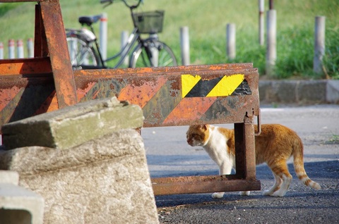 142e06e58242787fbbf486cfb1494cef