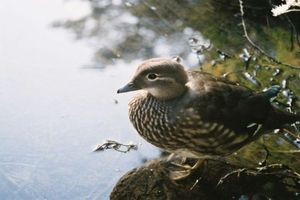 8ba724911ed9a074be7dda2b235b3acf