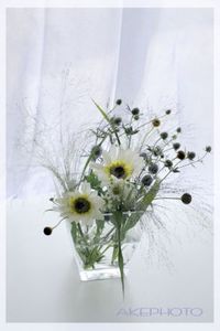 5a6289205cdffd588fd0a747c3b2dc26