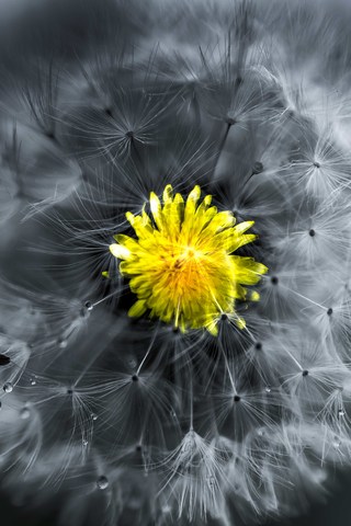 1343b55148821cbbeb76bec2ff734a11