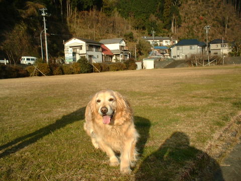 Bfce5b241b1f70e085fab2c5fbebb4e7