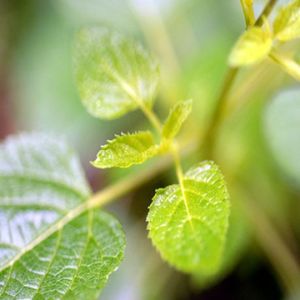 84026c0f8d40919fdd6055770b725a14