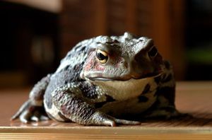 847604713d656e428bc1e14dd2efb467