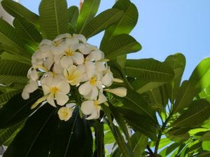 7919eed061aa03876230c1b6a7d5a45e