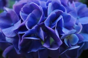 627376623fc3fadfe80b4d32e3cd9acb