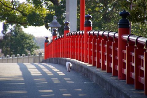 Efb34166cf5e4c33f679aef3c0a530e3