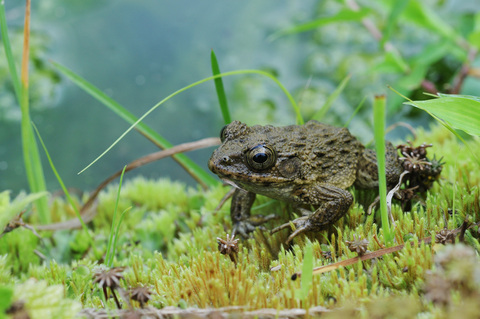 9b843d4998f8c8dd4c3a66d830ff8ffe