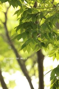 094d24ccf86b377c46417a63b0b21c88