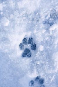 02ec01911d89937487891d496da5937a