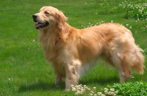 866b24510fe11e0ba49594fa8cb4682c