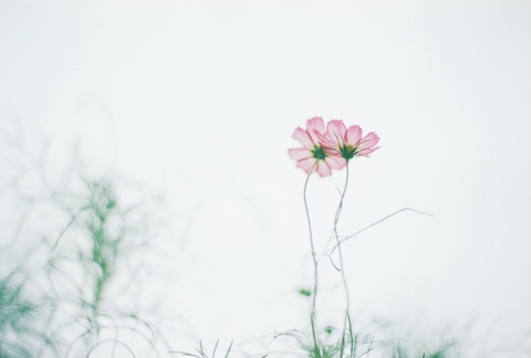 584cc72eb7e43d38f51b8eb2364cbbb4