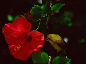 240cf02022e64a7e9efefbf61a191566