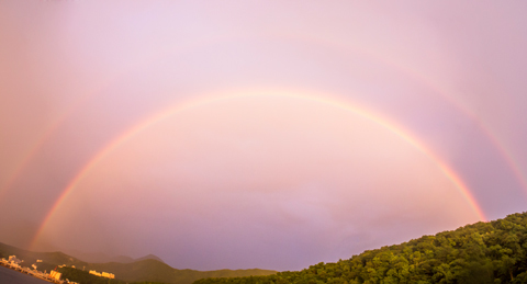 F6e1e9ef1ff234b823fee97ecabf7d47