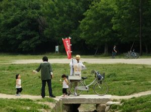 8ae6156d2ab914c653a26e2e655d5096