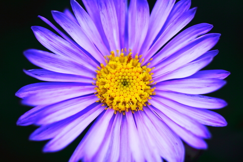 C17ec315c8b78fbd718e84df07f24fda