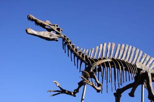 3847b73a04912fb2453cc156faba5a9a