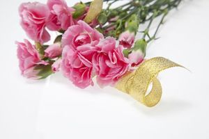 304cedf05560853b87f006320d8256f1