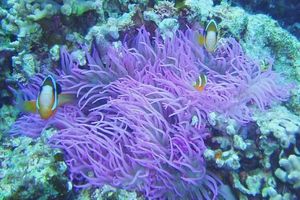 13295b0c2c380b14a85db49613be0ee0