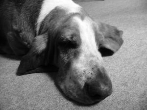 6b0dc5a26dd89cb90db262a8cbc04745