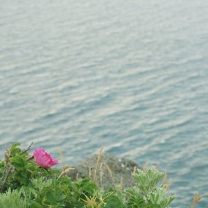 110d30705b1ea27848a98e0ae7ce1fe5
