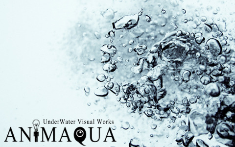 22626a817311221a4894173cca61beb2