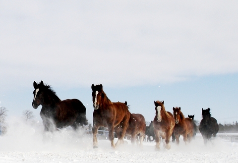 F3b07e418552d6afdb7b44bee9e5a393