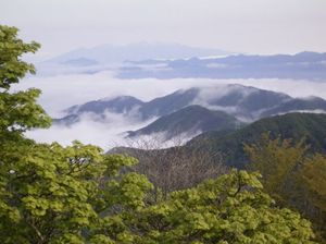 57cf66a9dbb6881cc49ba5156439d307