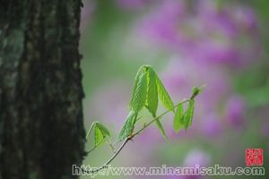 F7a45a89fd5f244e1f9b82b1552c5378