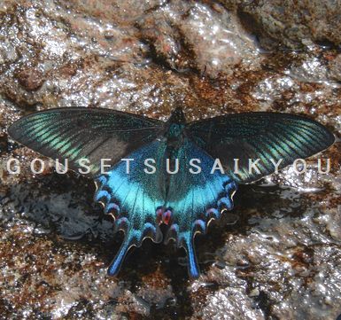 6e0491bb76cb43fae0f50408e4c8100e