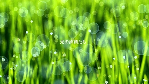 9c712477cdd06eafb695218bc2bfc280