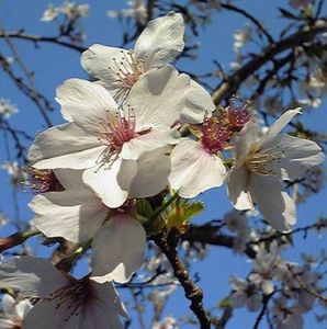 3b640390e2badee822c0852bd8eb1144