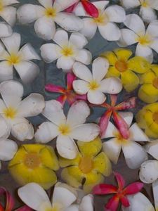 706028c92aef09f93ff41dc6f3e43a8e