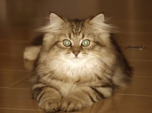 59ede1f2a9d6e019466e8e447fd880b5