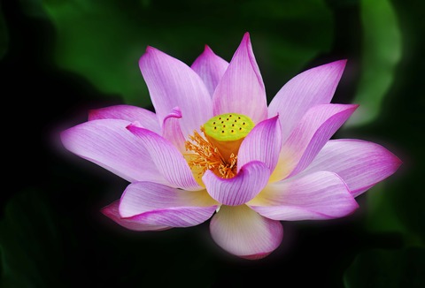 857d68ed396c4b2e8d1ef997765de79d