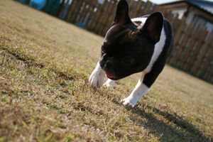 286ddd400e7ad905ef2ca01dd41fa089