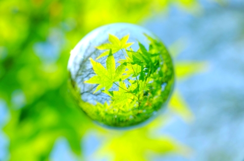 F46d7b974a68812c7d1399873a2d6170