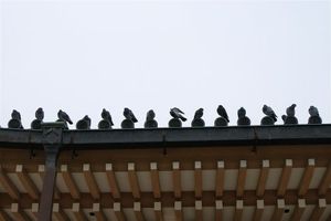 Ec2fa83eaa1e8e7e8763e6a6c505e908