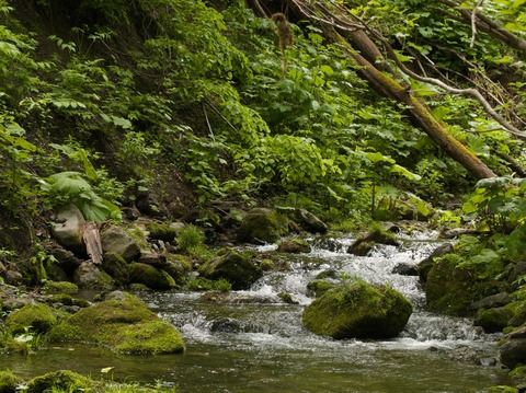 0b57db34b53b9c627488faad1e9ca152