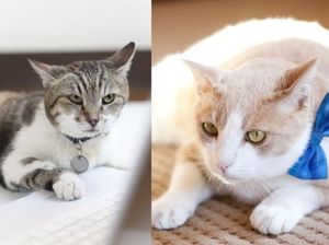 9535861f8b64e48eed619a99b524a231