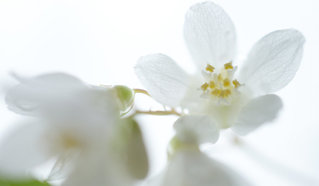 D457004919fe1b27bad6f5969883e799