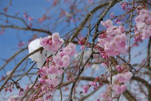 6535fa3b4b7ed716382040e452217b1b