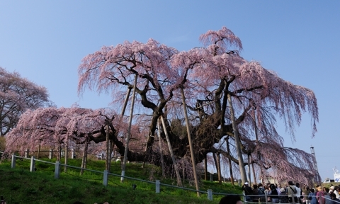 Eff73db96bde1b0627603fc833133c5b