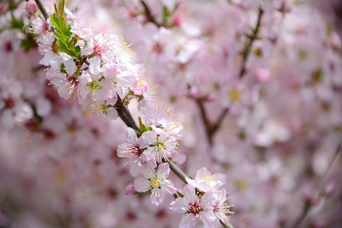 2181d20a00c843c86710e7ec3eb428bc