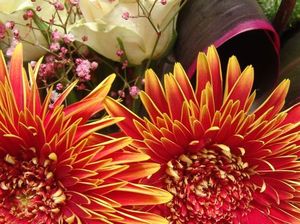 1870b09ec7ea796789afb83f039c4adf