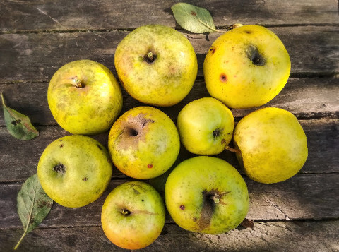 82b441d801d5b7d40926a040bd2be599