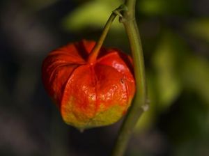 C7042e9759d33657224ccd29e570b99e