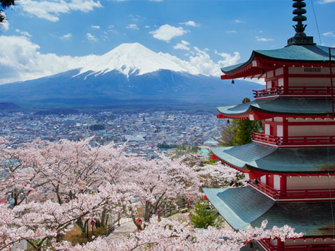 6561b4edc6326b91a7a7db582b402020