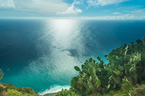 C035ffc79ce3d4545db5aacff10915f5