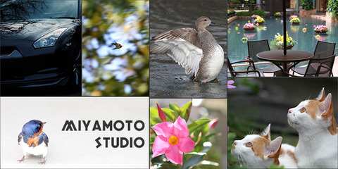 78961edfa52d6e78d038b32248381f6b