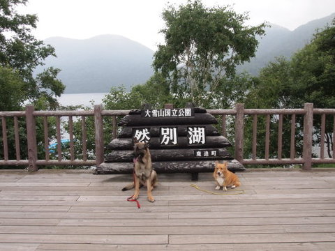 04e076252aa5c283cd0d71e13572de5a